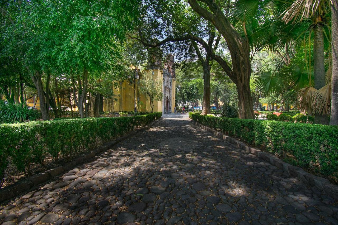 FL 59 Coyoacan at your doorstep! Appartement Mexico-stad Buitenkant foto