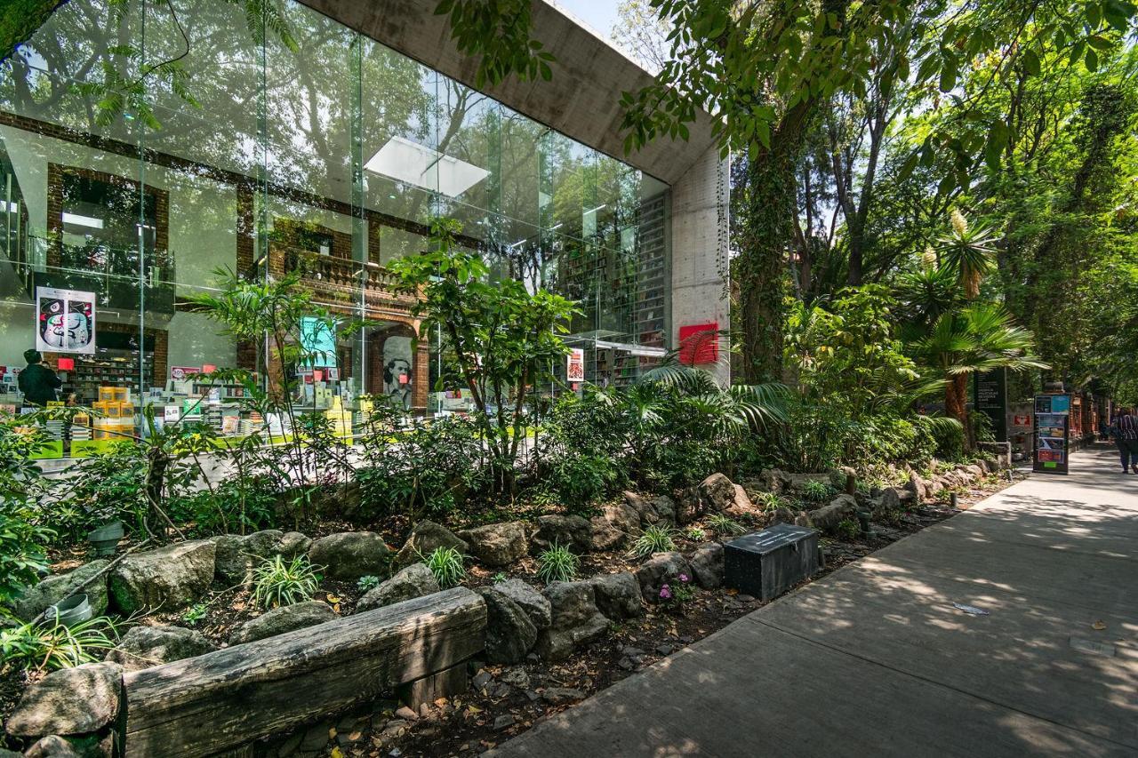 FL 59 Coyoacan at your doorstep! Appartement Mexico-stad Buitenkant foto