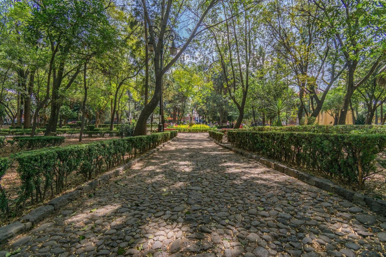 FL 59 Coyoacan at your doorstep! Appartement Mexico-stad Buitenkant foto